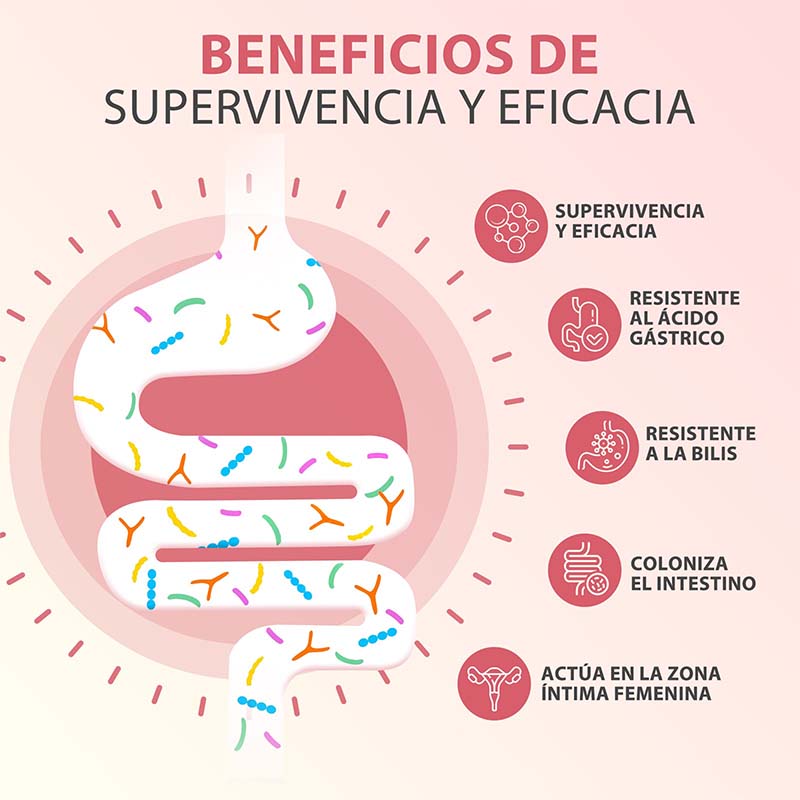 Cápsulas PROBIOTICOS MUJER: ap - Probiotics Women Health reseña y precio